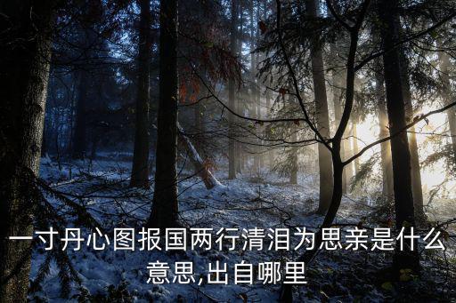 一片丹心圖報國,一片丹心圖報國兩行清淚為思親
