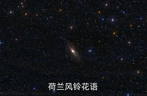 荷蘭風鈴花語