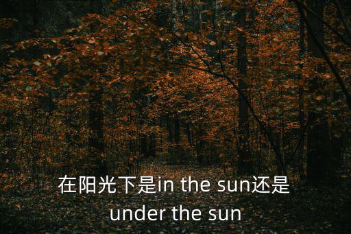 在陽光下是in the sun還是under the sun