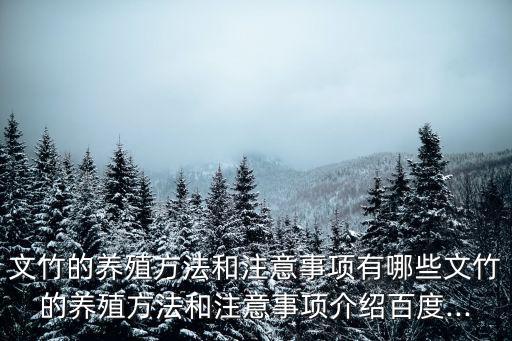 文竹的養殖方法和注意事項有哪些文竹的養殖方法和注意事項介紹百度...