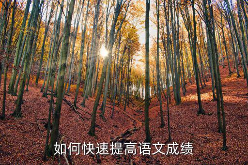 如何快速提高語文成績