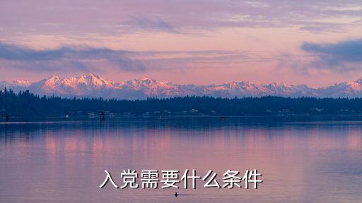 入黨需要什么條件