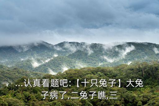 大兔子病了,十只兔子的寓意
