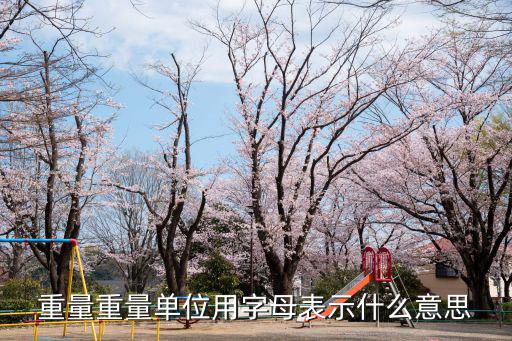 重量重量單位用字母表示什么意思