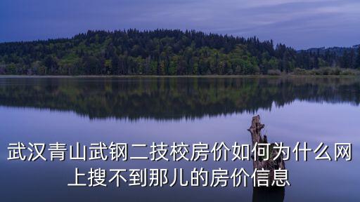 武漢青山武鋼二技校房價如何為什么網上搜不到那兒的房價信息