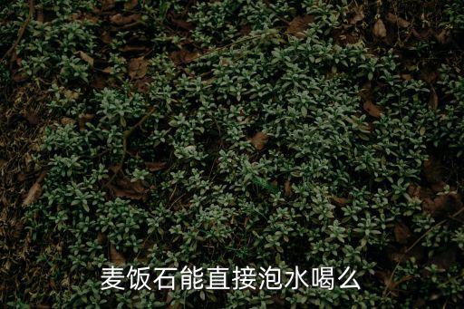 麥飯石水,麥飯石可直接煮水喝嗎?可以放鍋里煮嗎?