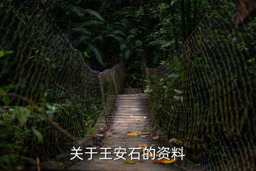 王安石資料,王安石變法為中國歷史上一次著名變法改革