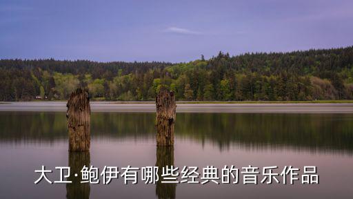 大衛·鮑伊有哪些經典的音樂作品