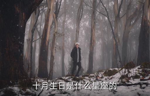 十月生日是什么星座的