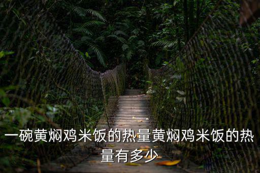 黃燜雞的熱量,一份黃燜雞米飯熱量大概400大卡左右