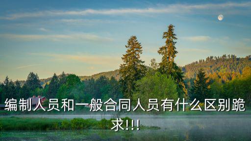 編制人員和一般合同人員有什么區(qū)別跪求!!!