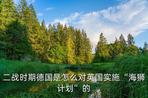 海獅計劃,英國人幽默地指著空中的機(jī)群說:那是倫敦上空的鷹