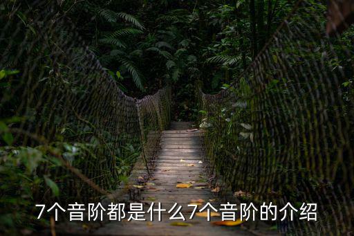 7個音階都是什么7個音階的介紹