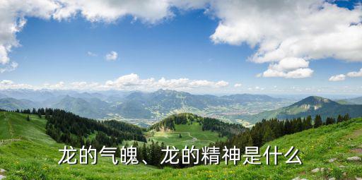 龍的氣魄、龍的精神是什么