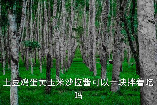 土豆雞蛋黃玉米沙拉醬可以一塊拌著吃嗎