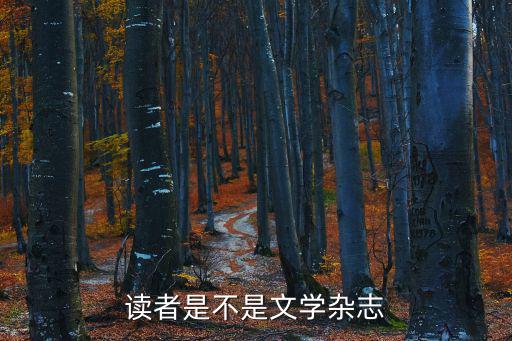 讀者是不是文學(xué)雜志