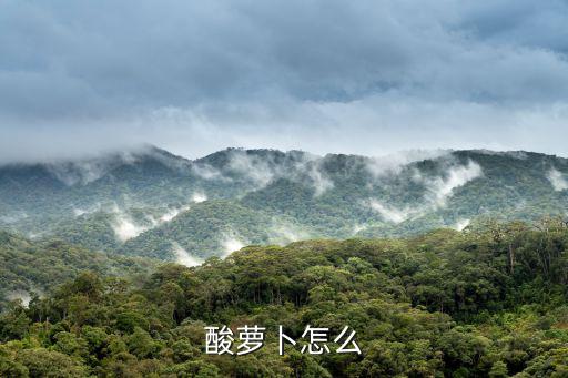 酸蘿卜條,蘿卜要怎么做?