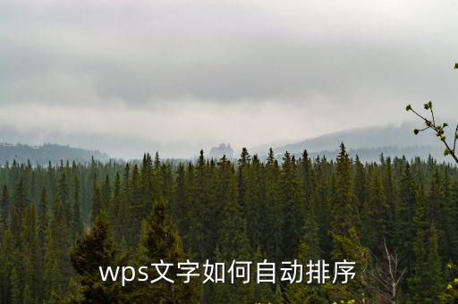 wps如何排序,如何在wps文字中排序?