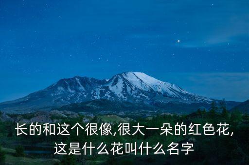 紅色花圖片,紅色彼岸花在中國廣西被俗稱為大紅花