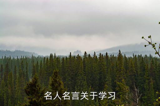 關于學習的名人名言,關于學習的名人名言有100條