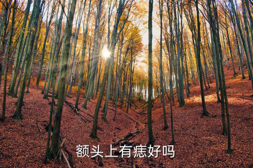 額頭有痣,額頭三分之一長(zhǎng)痣代表雙龍奪珠意味著什么?