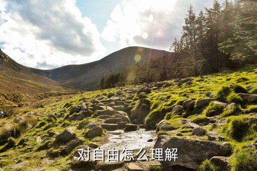 對自由的理解,對自由怎么理解?積極自由下最可能隨心所欲