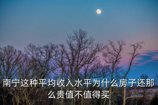 南寧這種平均收入水平為什么房子還那么貴值不值得買