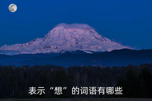 表示想的詞語(yǔ),回顧（一）:從古到今的投票日