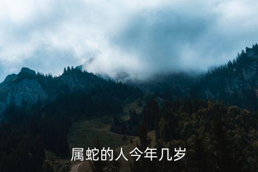 屬蛇的人今年幾歲