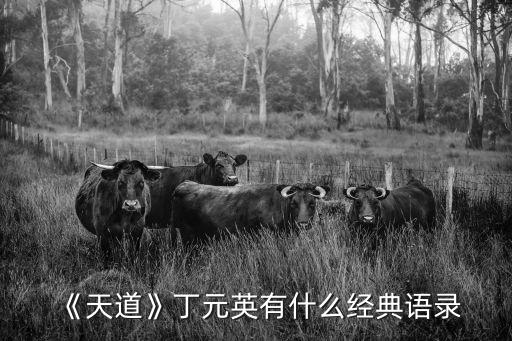 《天道》丁元英有什么經(jīng)典語錄