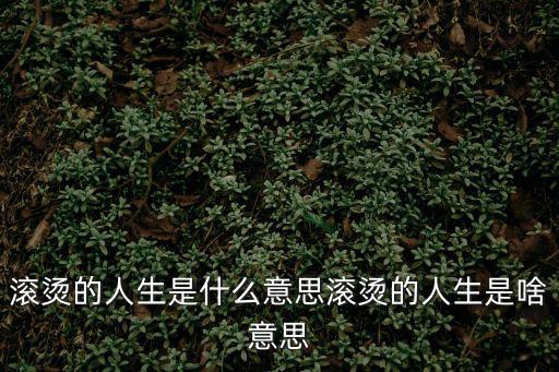 滾燙的人生是什么意思滾燙的人生是啥意思