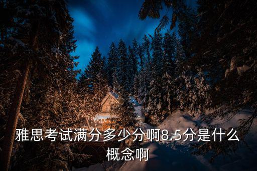 雅思考試滿(mǎn)分多少分啊8.5分是什么概念啊