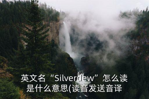 銀色英語怎么讀,silver怎么讀?