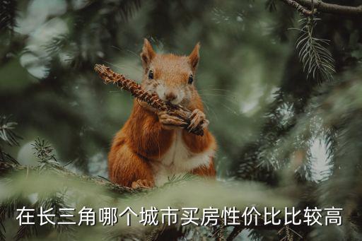 在長三角哪個城市買房性價比比較高