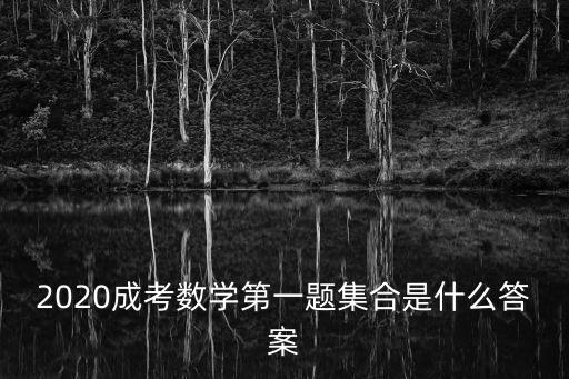 2020成考數(shù)學(xué)第一題集合是什么答案