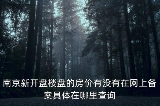 南京新開盤樓盤的房價有沒有在網上備案具體在哪里查詢