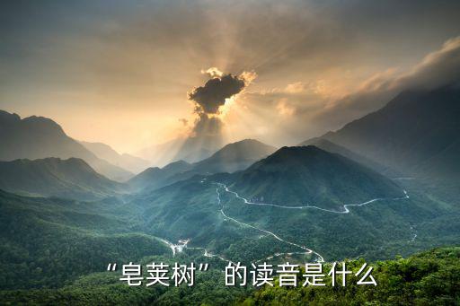 行道樹讀音,皂莢樹造型好看有何象征意義?