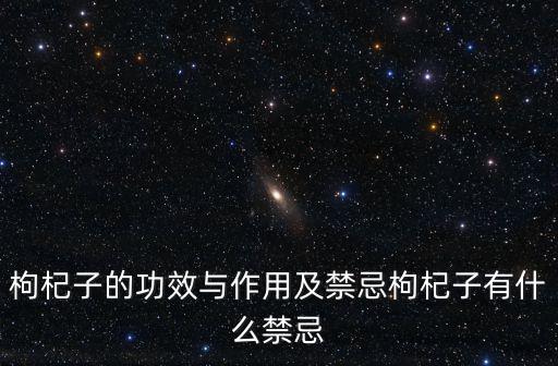 枸杞子的功效與作用及禁忌枸杞子有什么禁忌