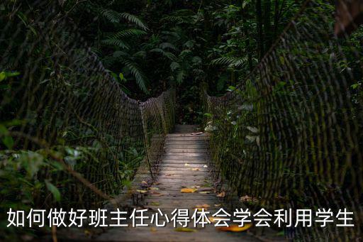 如何做好班主任心得體會學會利用學生