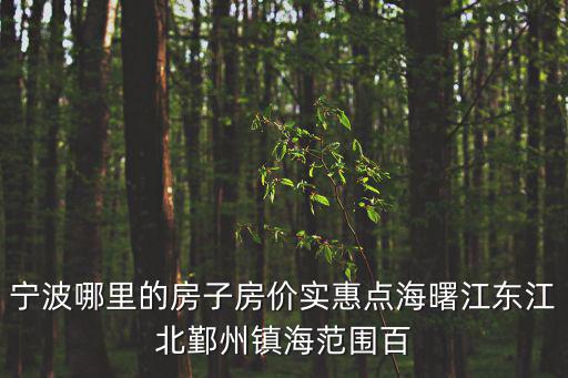 寧波哪里的房子房價實惠點海曙江東江北鄞州鎮海范圍百