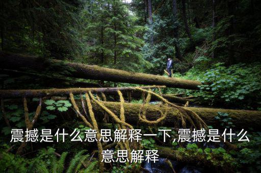 震撼是什么意思解釋一下,震撼是什么意思解釋