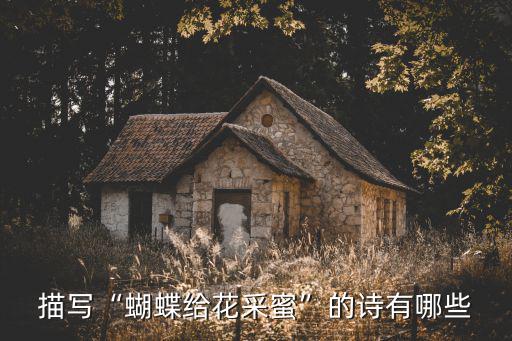 蝴蝶采花,描寫蝴蝶給花采蜜詩(shī)有哪些?