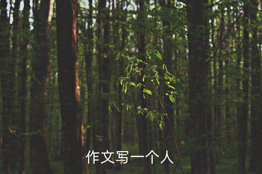 作文寫一個人