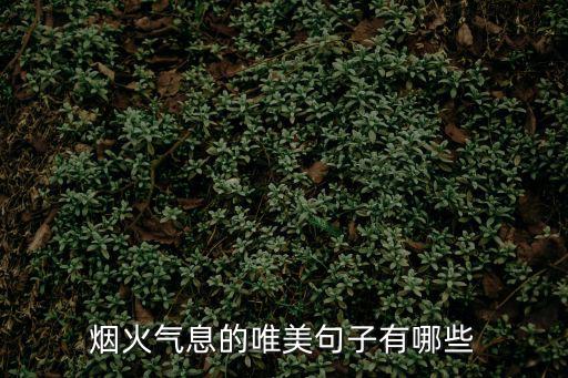 煙火氣息,煙火氣息詩句:向世界抬頭淡淡微笑