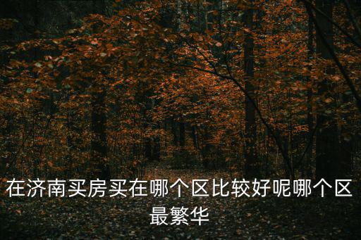 在濟南買房買在哪個區比較好呢哪個區最繁華