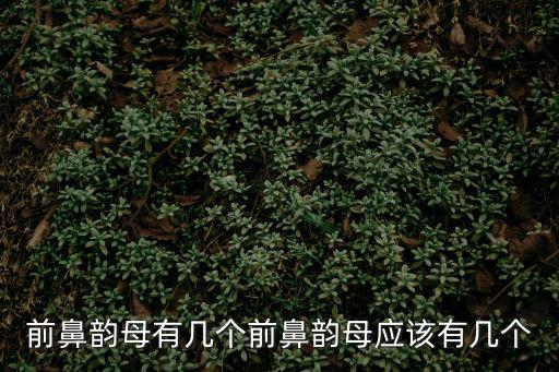 5個(gè)前鼻韻母,這些前鼻韻母有何不同?