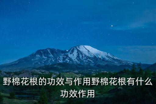 野棉花,野棉花根的功效與作用!