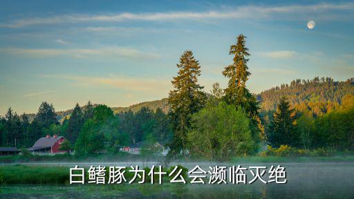 白鰭豚為什么會瀕臨滅絕