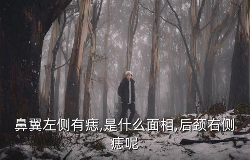 鼻翼有痣,兩鼻翼地方有痣表示其財政口袋已經破了