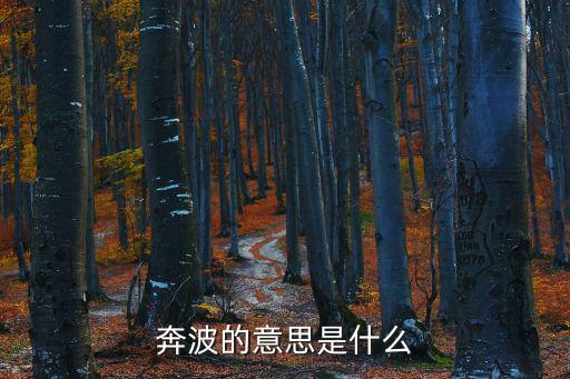 奔波的近義詞,奔走:為一定目的而到處活動的人或事